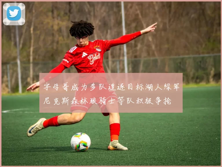 字母哥成为多队追逐目标湖人绿军尼克斯森林狼骑士等队积极争抢