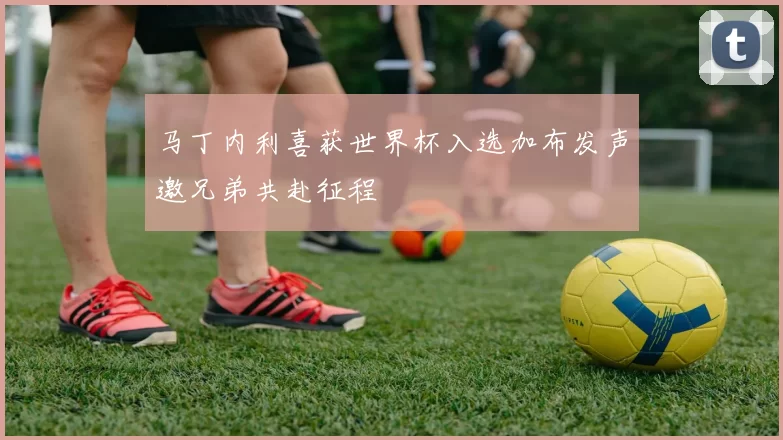 马丁内利喜获世界杯入选加布发声邀兄弟共赴征程